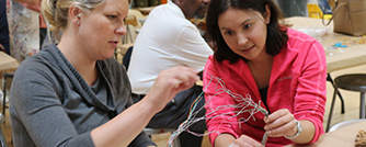 Summer Institute for LAUSD Teachers